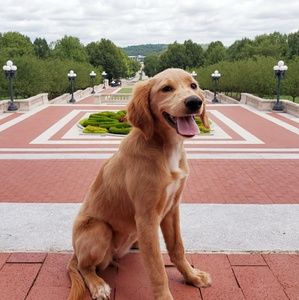 Meet your Posher, Michelle